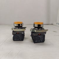 Pushbuttons, Pilot Lights & Selector Switches