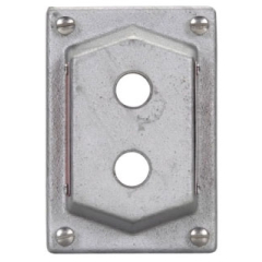 CRS-H DS442; 1G 2 HOLE BLANK COVER