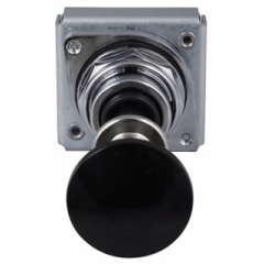 C-H 10250T4523; PUSHBUTTON