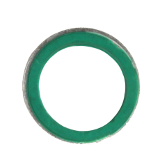 ACP SG1; 1/2" SEALING GASKET W/STL RING